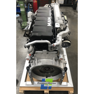 New MAN D2066 Diesel Engine LOH10