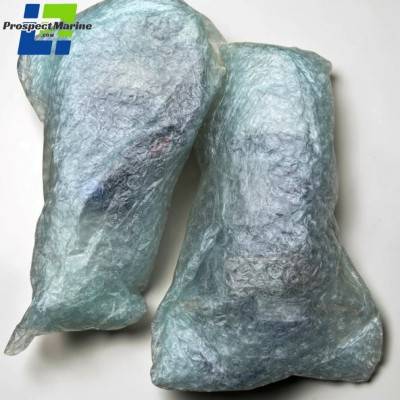 Echopilot FLS 3D System With Dual Pro Transducers